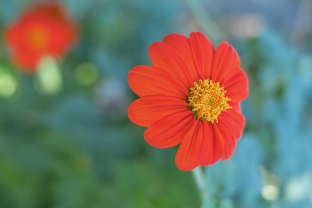 守和优秀的 守和优秀的