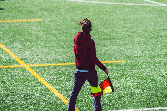 各成员国将 各成员国将