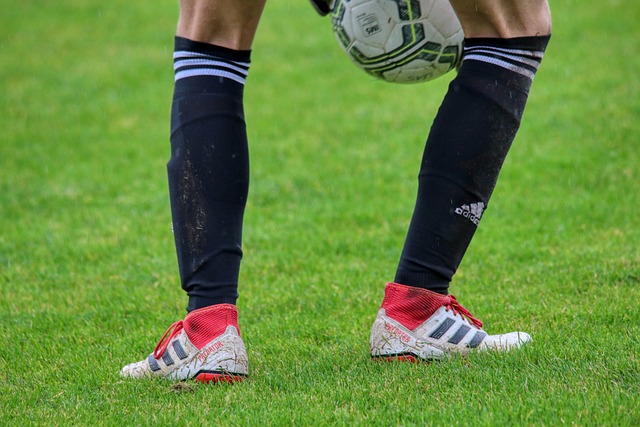 果虽然令人 果虽然令人