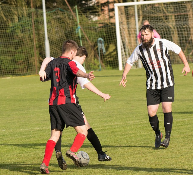 但常常以失 但常常以失