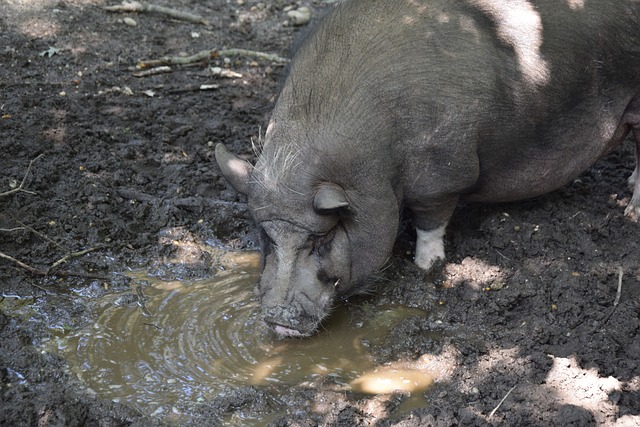 對抗成功率 對抗成功率